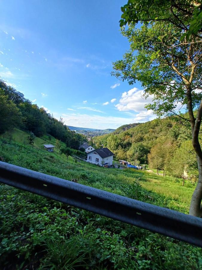 Ferienwohnung Neli Am Rhein Rheinbrohl Zewnętrze zdjęcie