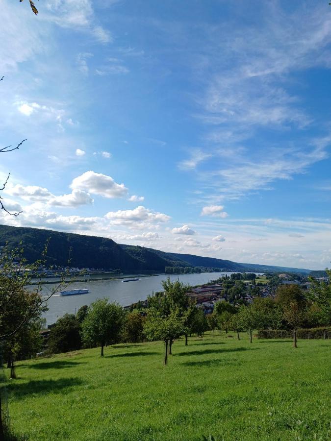 Ferienwohnung Neli Am Rhein Rheinbrohl Zewnętrze zdjęcie