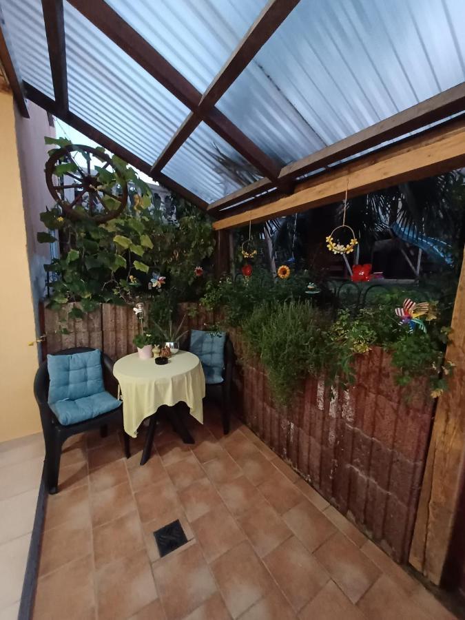 Ferienwohnung Neli Am Rhein Rheinbrohl Zewnętrze zdjęcie